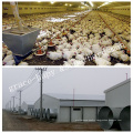Prefabricated Broiler House with Raising Equipment